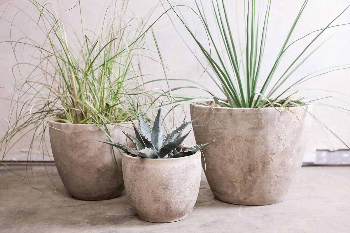 Planter